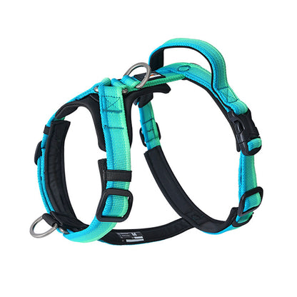 Gradient Harness & Leash Set