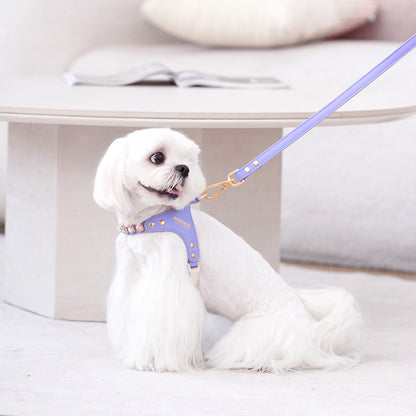Sparkle Rhinestone Harness & Leash Set
