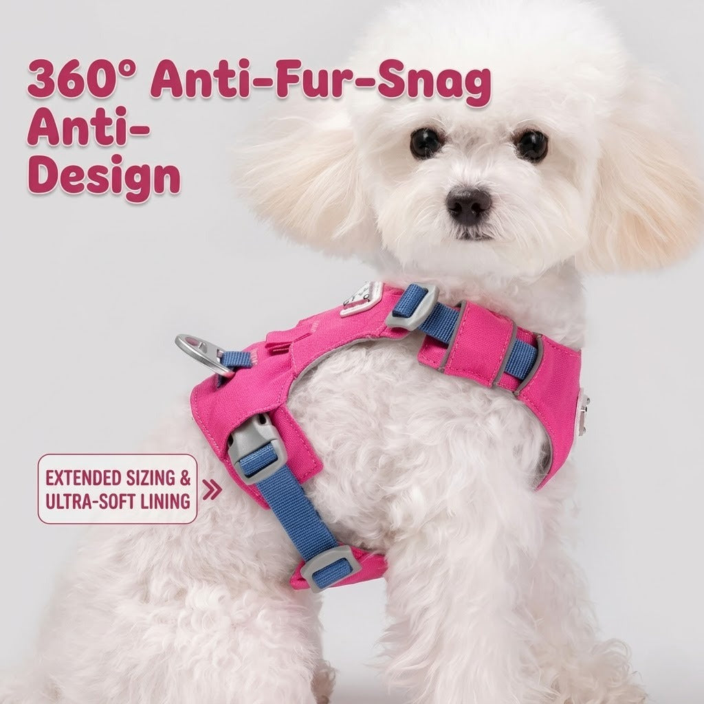 Lightweight Breathable Harness & Leash Set