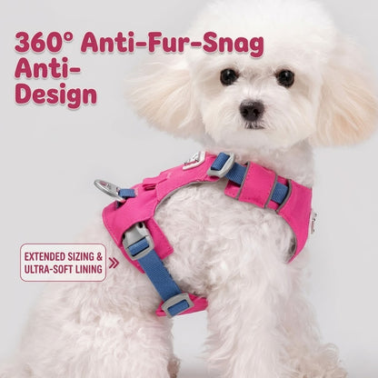 Lightweight Breathable Harness & Leash Set