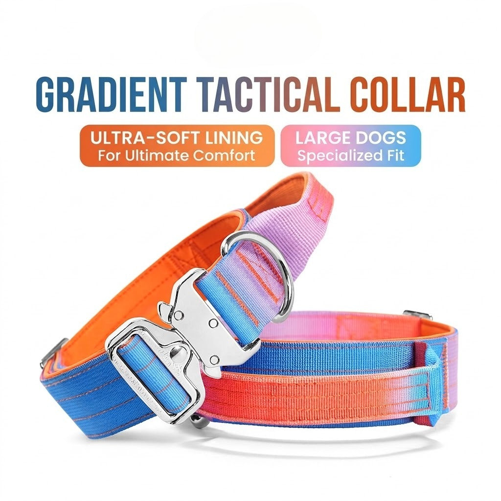 Gradient Tactical Collar & Leash Set