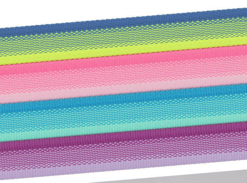 Gradient Dual-Handle Dog Leash