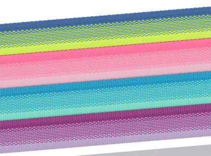 Gradient Dual-Handle Dog Leash
