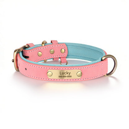 Personalized Dog Collar & Leash Set
