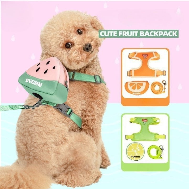 Fruit Pattern Harness, Leash & Backpack Set