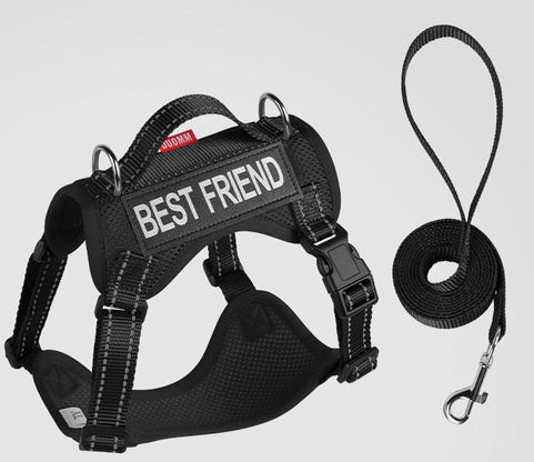 Reflective Mesh Harness & Leash Set
