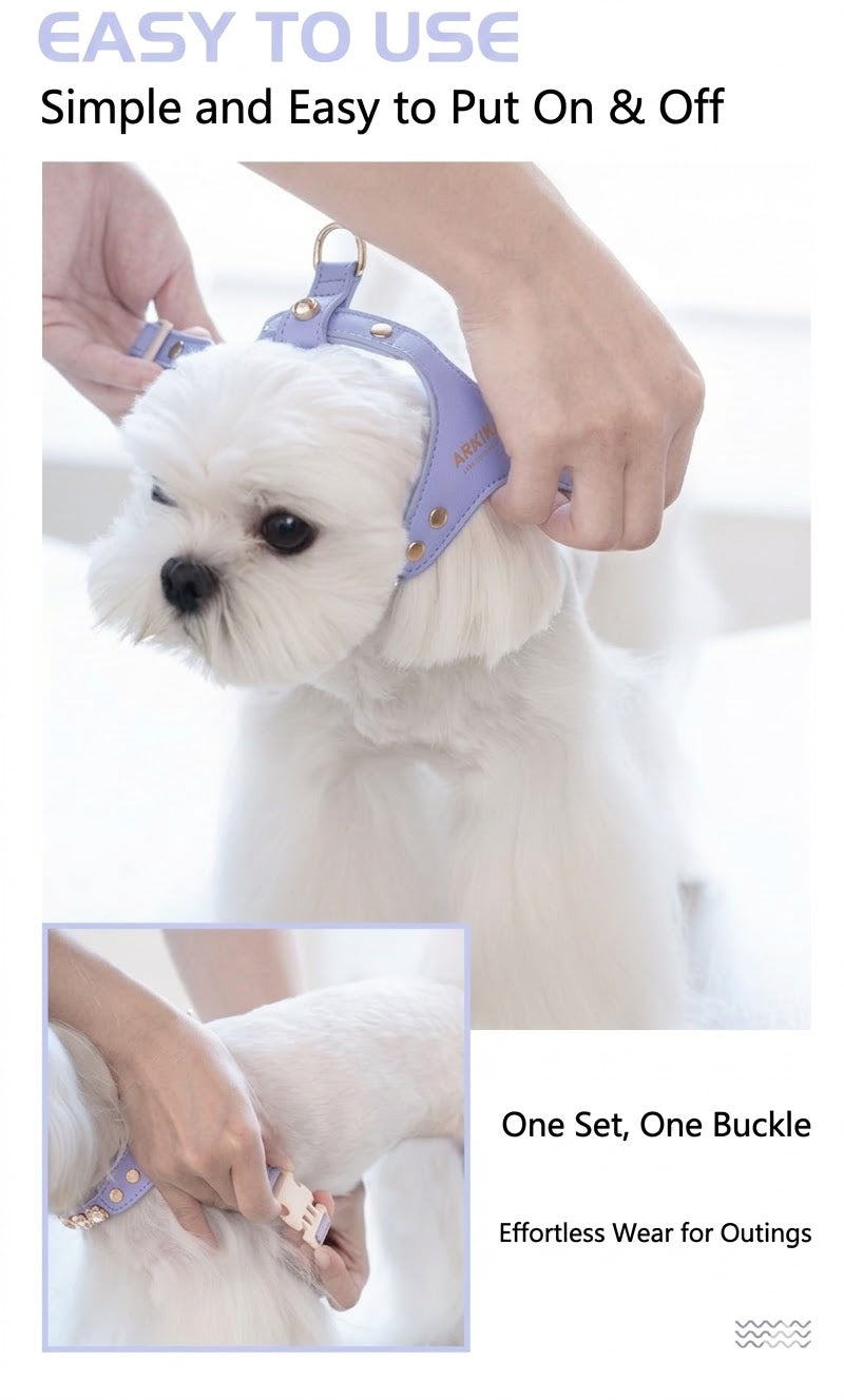 Sparkle Rhinestone Harness & Leash Set