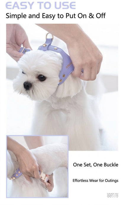 Sparkle Rhinestone Harness & Leash Set