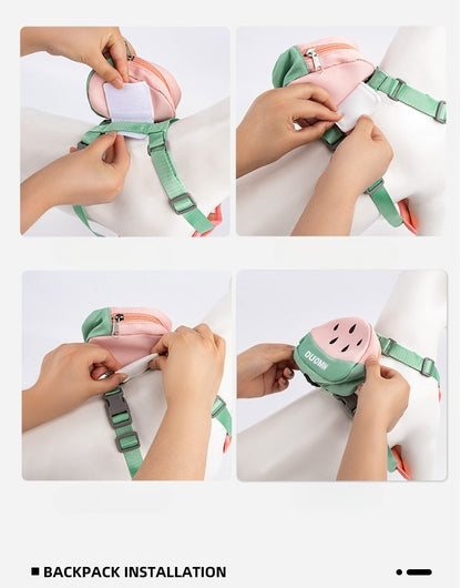 Fruit Pattern Harness, Leash & Backpack Set