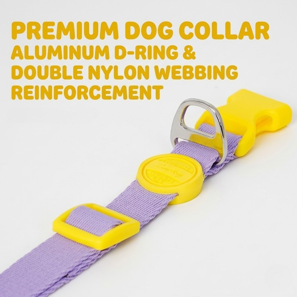 Soft Nylon Collar & Leash Set