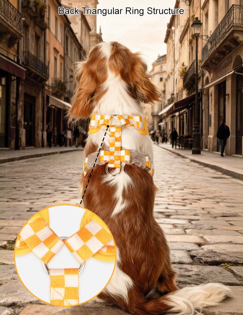 Checkerboard Harness & Leash Set