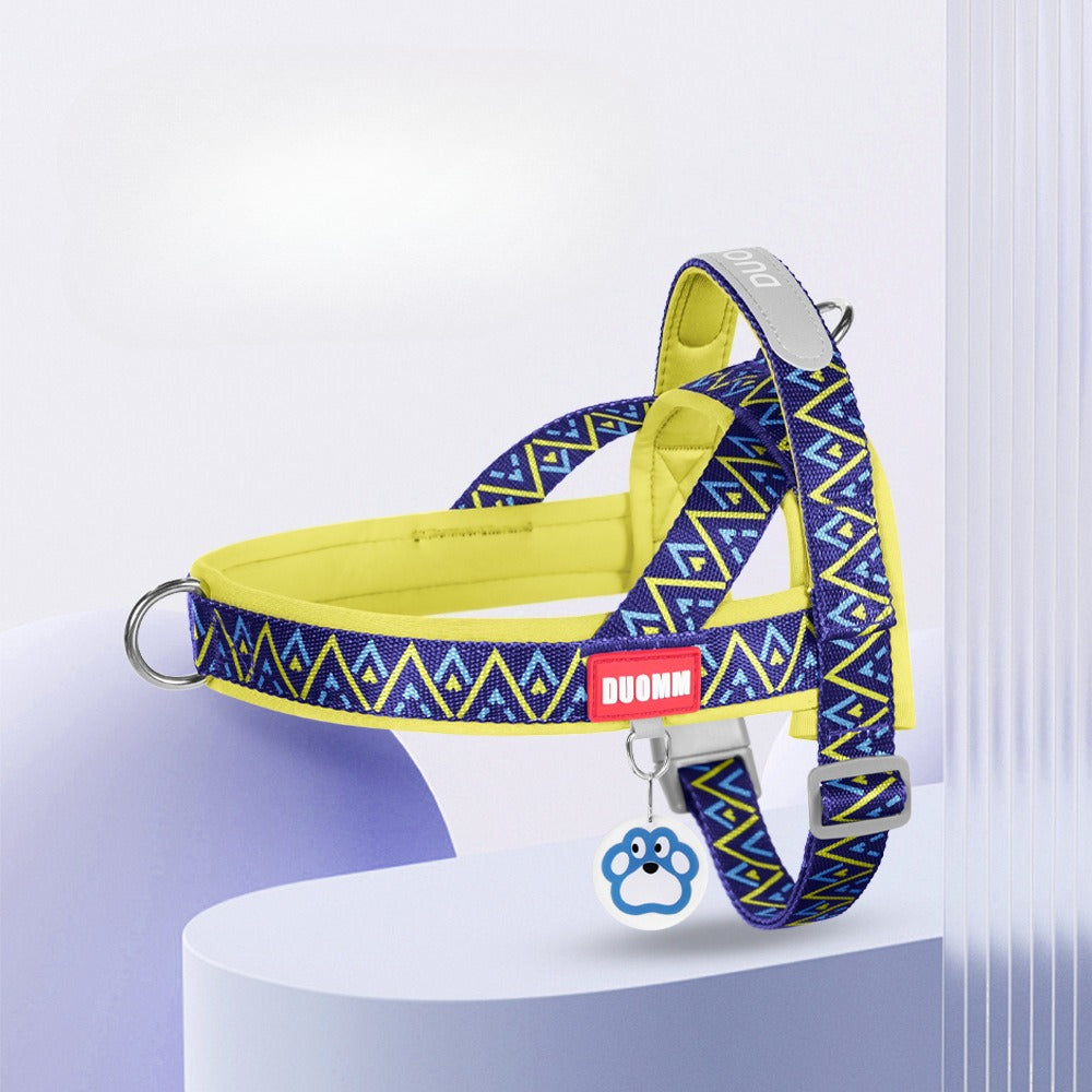 Geometric Reflective Harness & Leash Set