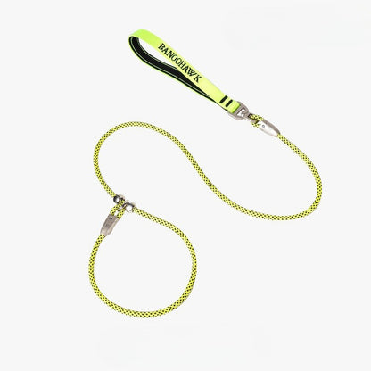 Braided Training Leash for Dogs – Multi