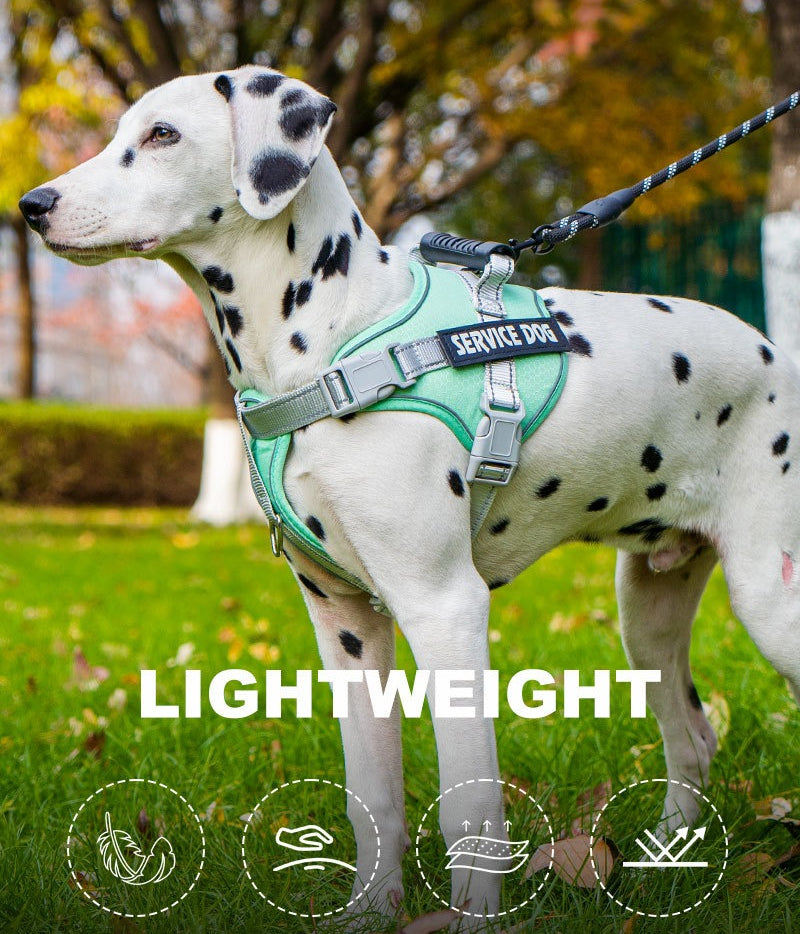 Reflective Harness & Leash Set