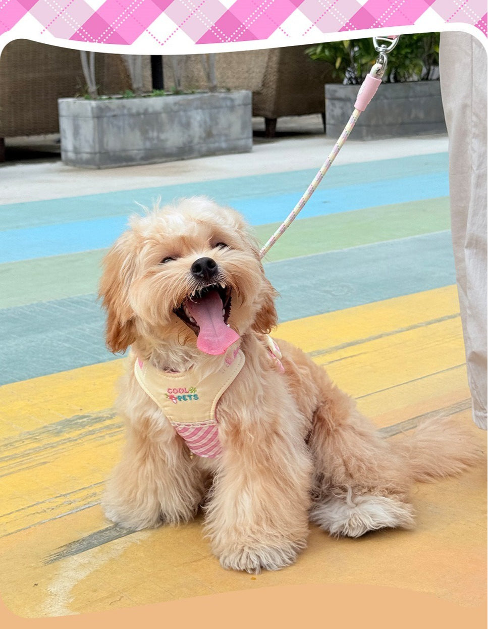 Plaid Lace Harness – Pink