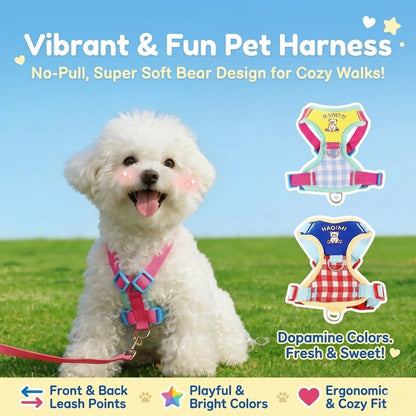 Plaid Bear Harness & Leash Set