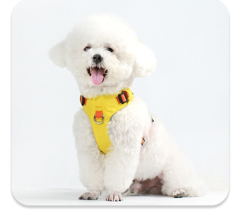 Lightweight Harness & Leash Set