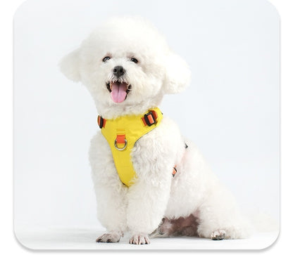 Lightweight Harness & Leash Set