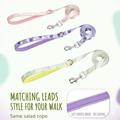 Floral Harness & Leash Set
