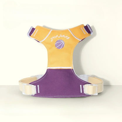 Sports Print Harness & Leash Set