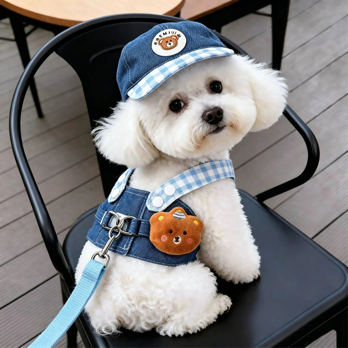 Plaid Denim Dog Hat
