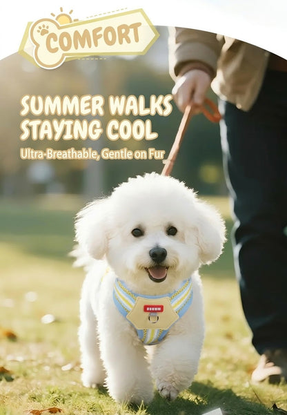 Plush Monster Harness & Leash Set