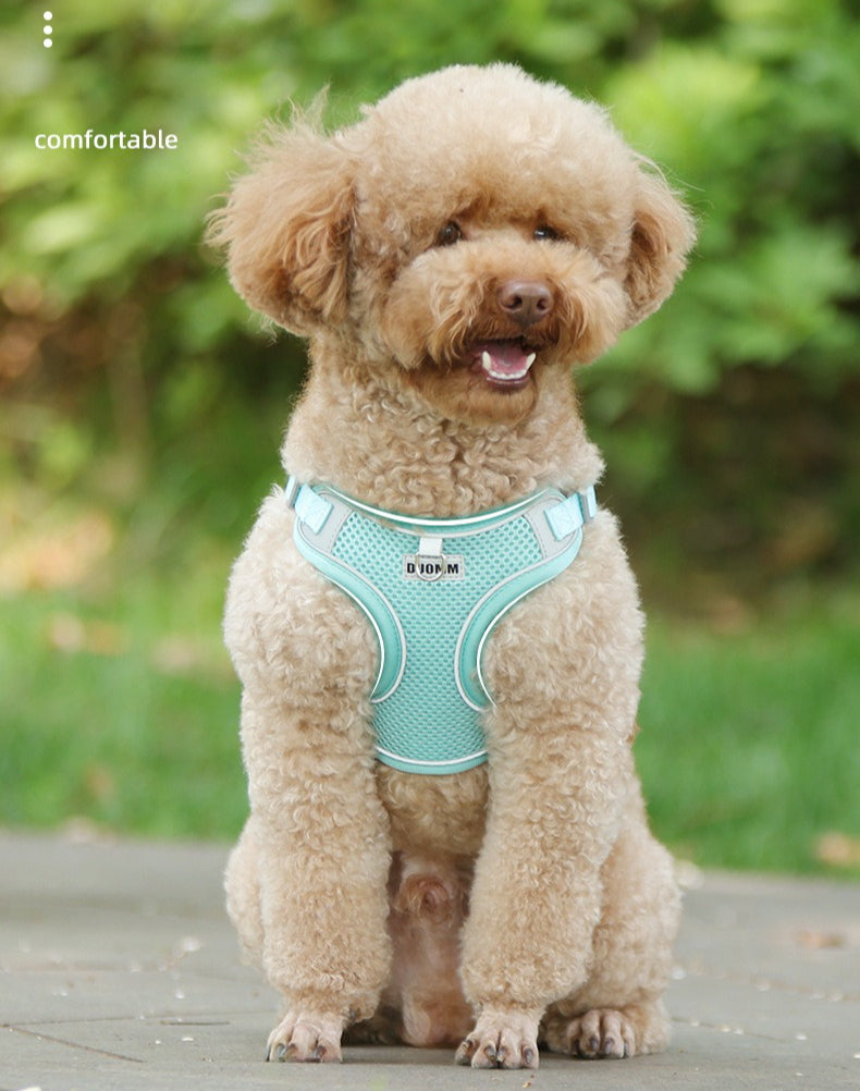 Breathable Mesh Harness & Leash Set