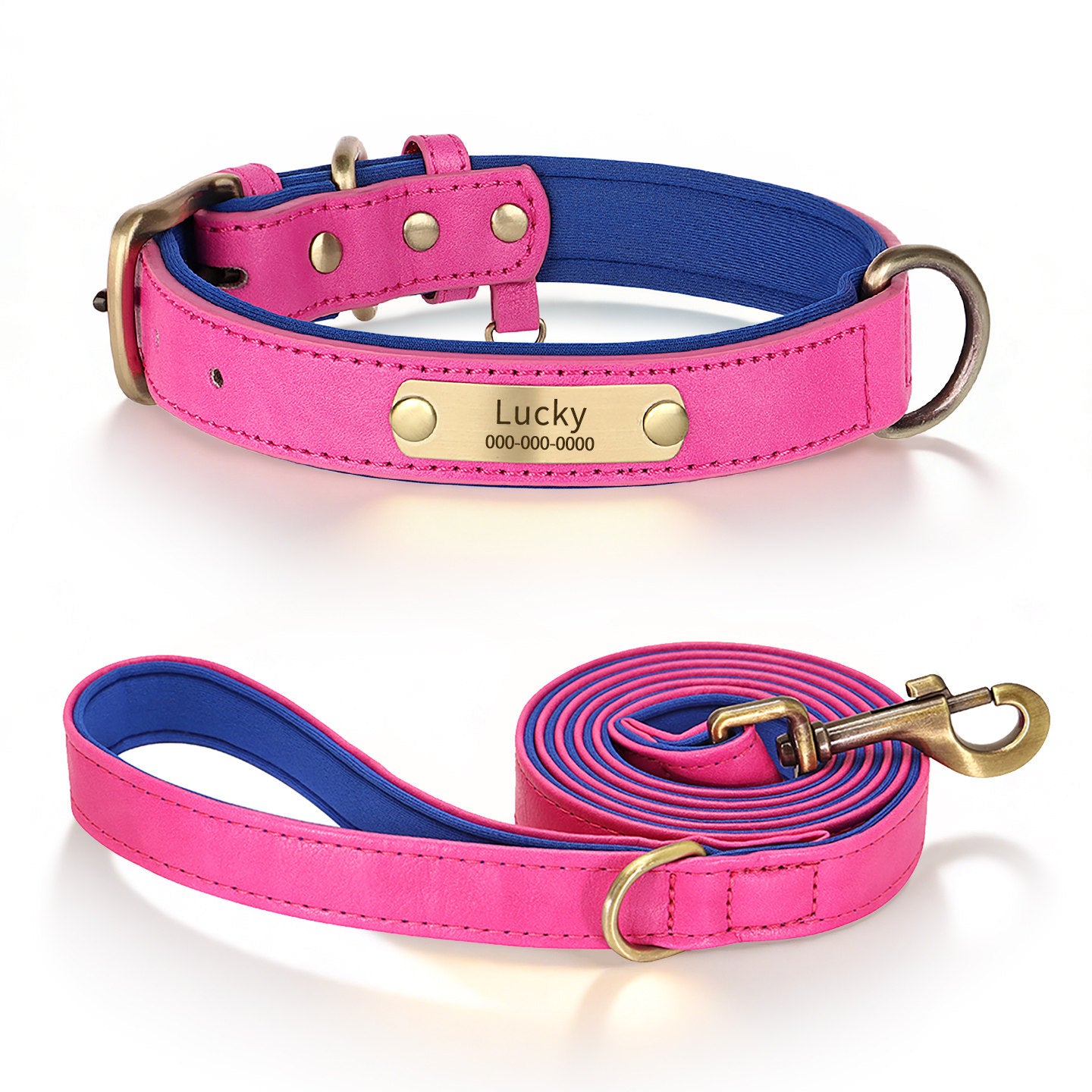 Personalized Dog Collar & Leash Set