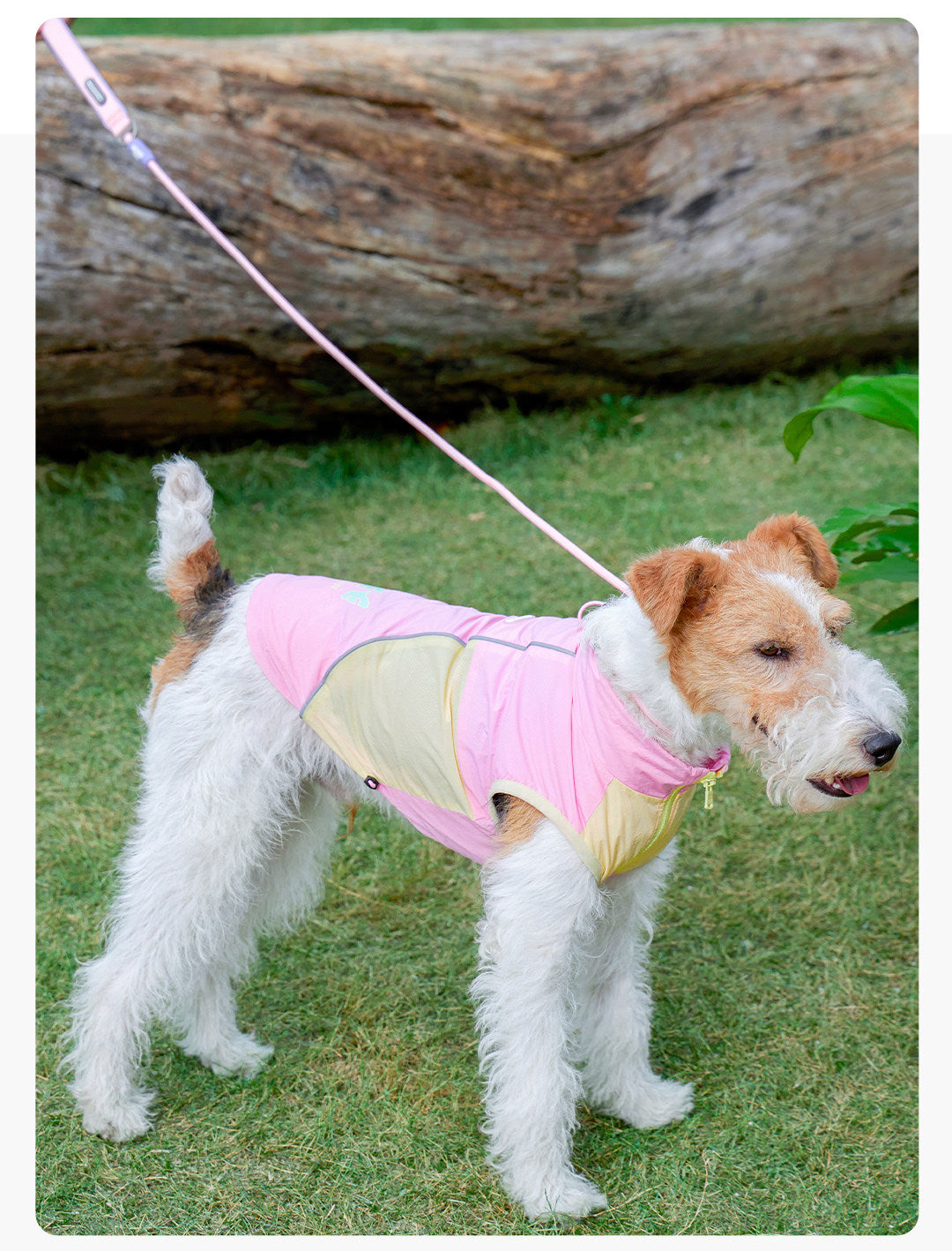 Geometric Color-Block Dog Leash