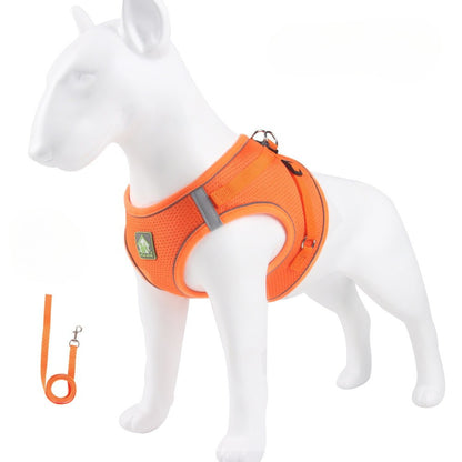 Reflective Mesh Harness & Leash Set