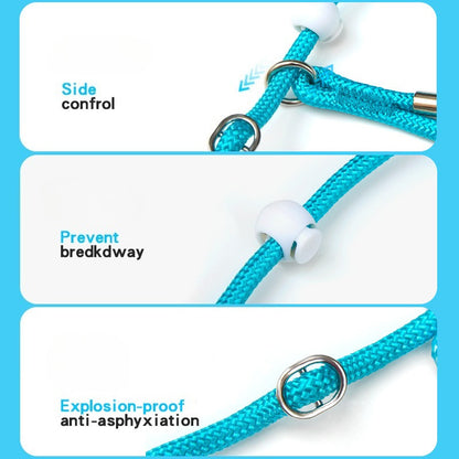 Adjustable Slip Lead Dog Leash