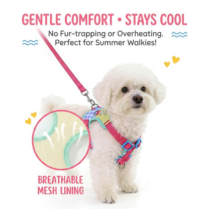 Plaid Bear Harness & Leash Set