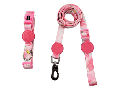 Patterned Accessory Set for Dogs – Multi-Color