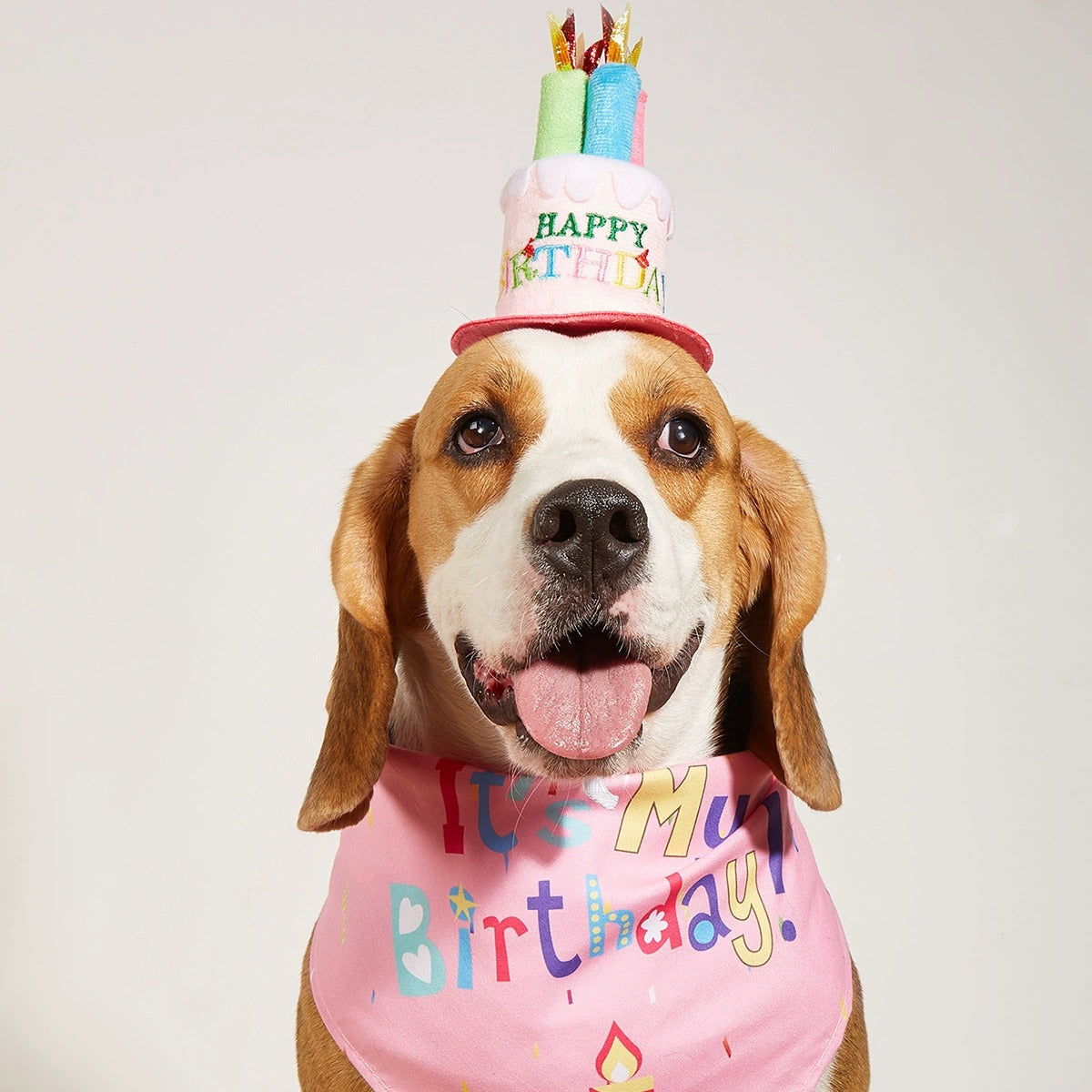Birthday Bandana & Hat Set