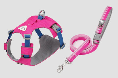 Lightweight Breathable Matching Dog Set
