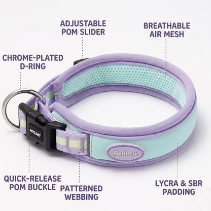 Soft Mesh Collar & Leash Set
