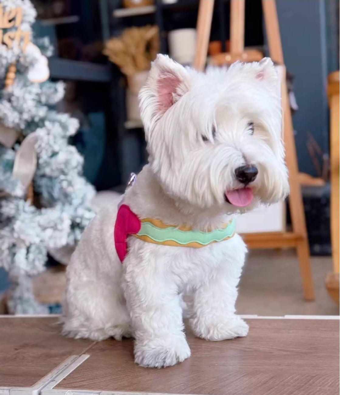 Breathable Y-Shape Dog Harness