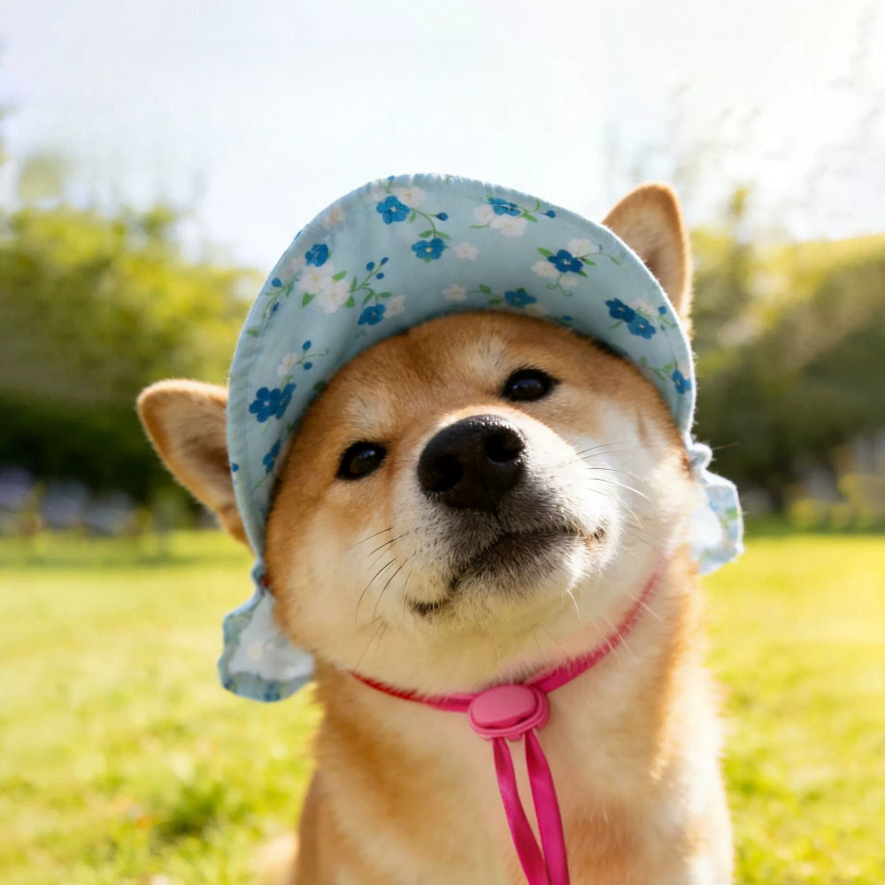 Floral Dog Hat