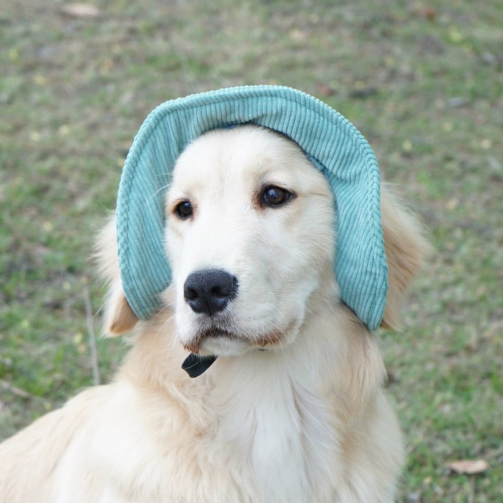Corduroy Dog Hat