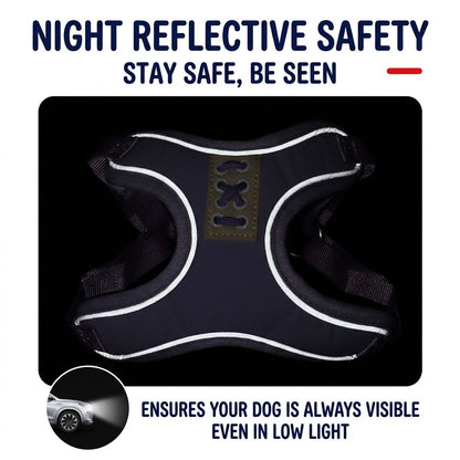 Reflective Mesh Harness & Leash Set