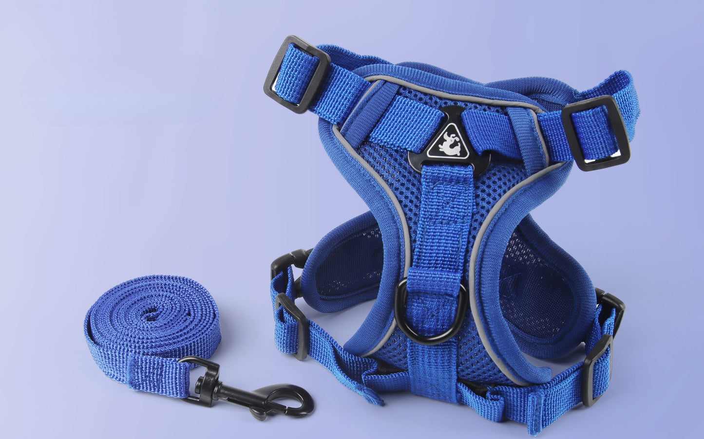 Reflective Mesh Harness & Leash Set