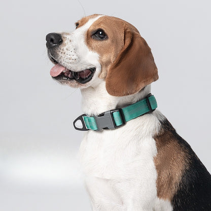 Reflective Nylon Dog Collar for Dogs – Multi