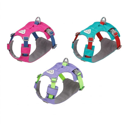 Lightweight Breathable Matching Dog Set