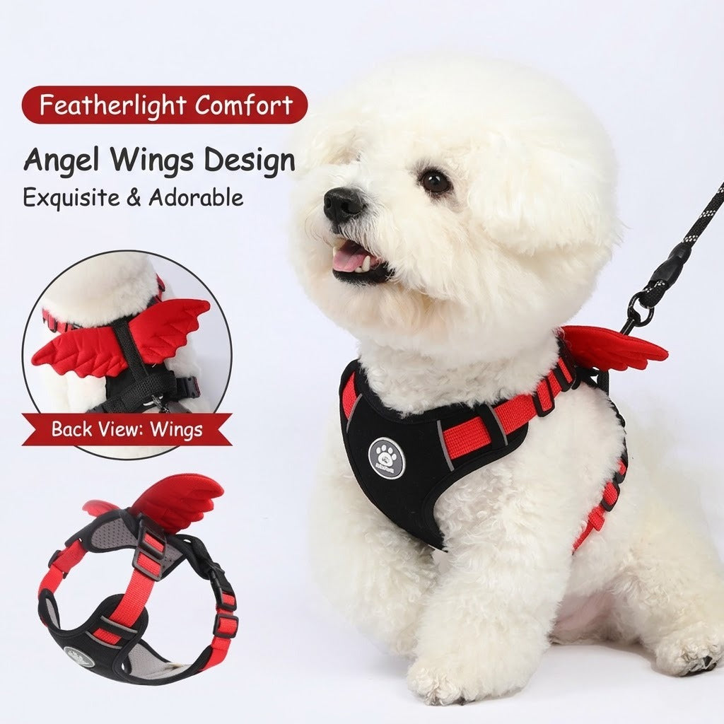 Angel & Devil Wing Harness & Leash Set