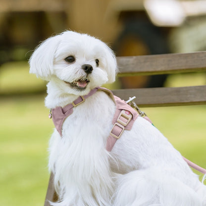 Lightweight Harness & Leash Set
