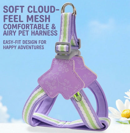 Floral Harness & Leash Set