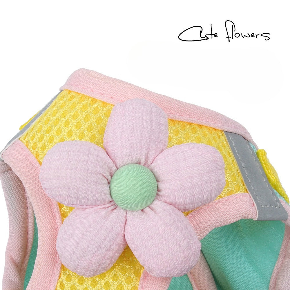 Floral Mesh Harness & Leash Set