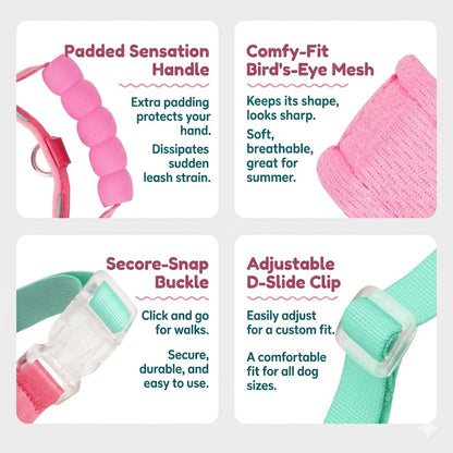 Foam Handle Harness & Leash Set