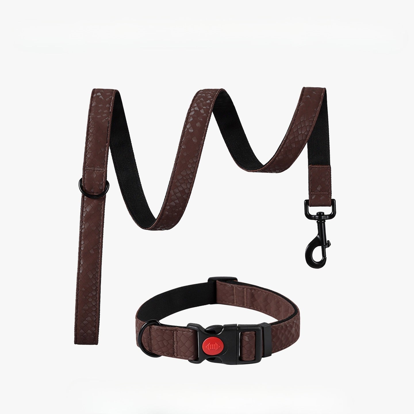 Snake Pattern Collar & Leash Set