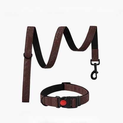 Snake Pattern Collar & Leash Set
